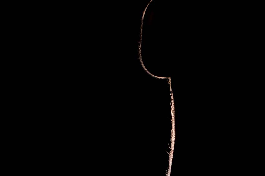 silhouet van hals en oor van persoon in transitie